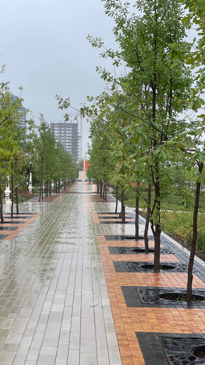 Приствольная решетка для дерева ZKING CRUST 1.2х1.2м Черная в Балашихе фото