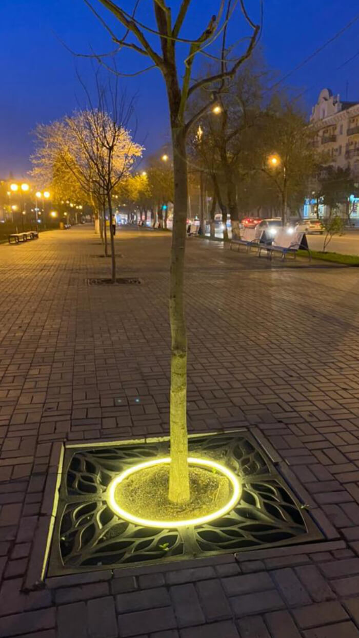 Приствольная решетка для дерева ZKING CRUST 1.2х1.2м Черная в Балашихе фото